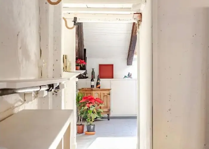 Loft Retrò Vicino Al Papa *
